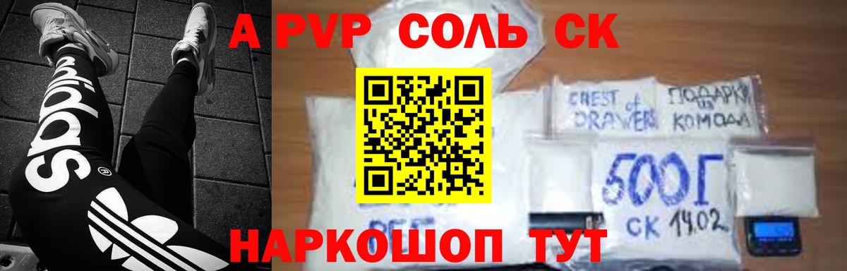 Alfa_PVP СК Грозный