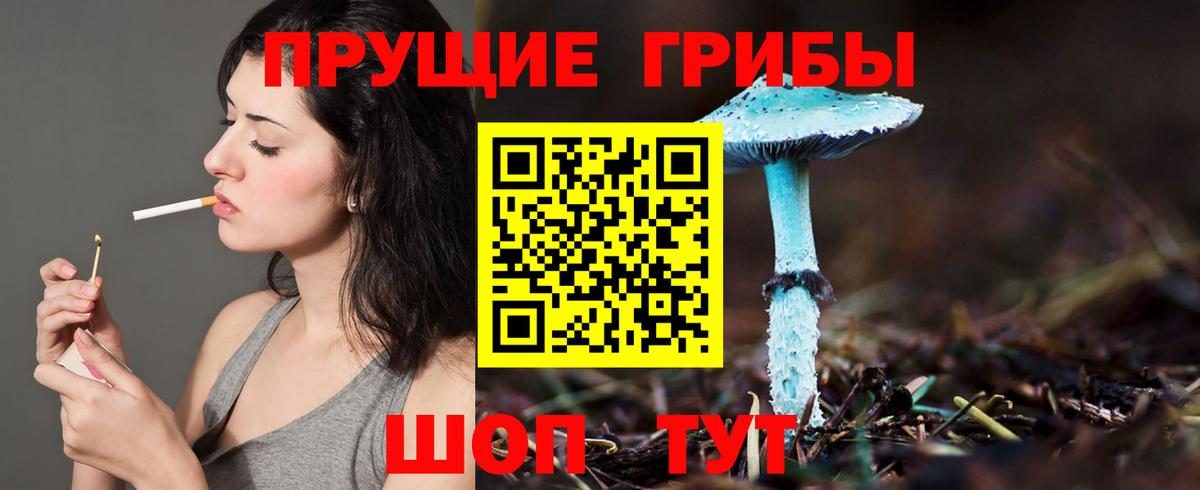 Галлюциногенные грибы прущие грибы  Вход с VPN  Грозный 